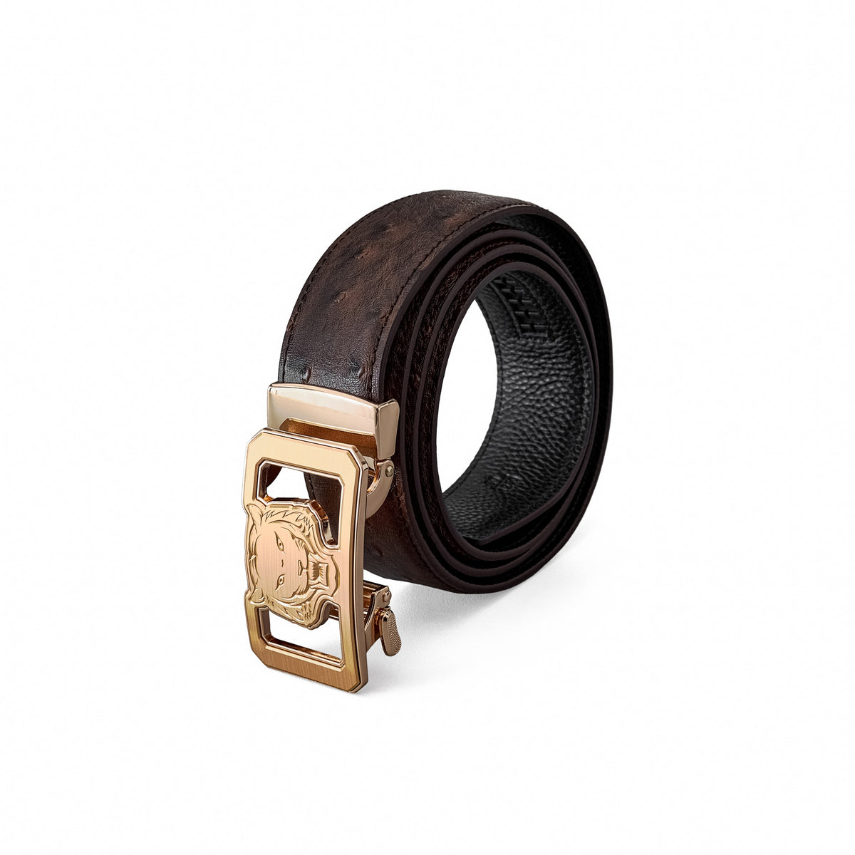Genuine Ostrich Leather Belt Sleek Gold Buckle Ostrich Belt Real Leather H Gold Buckle Stud Logo Red  main image 3