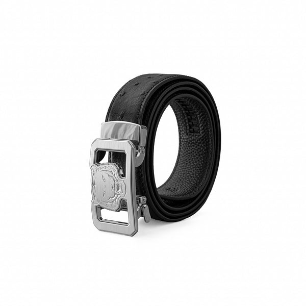 BLT042_SILBK_1_swr_grande.jpg?  display picture 2